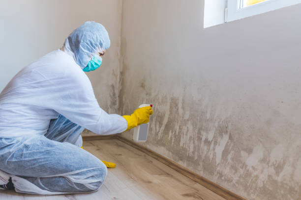 Mold Remediation specialist working in Lincoln Park